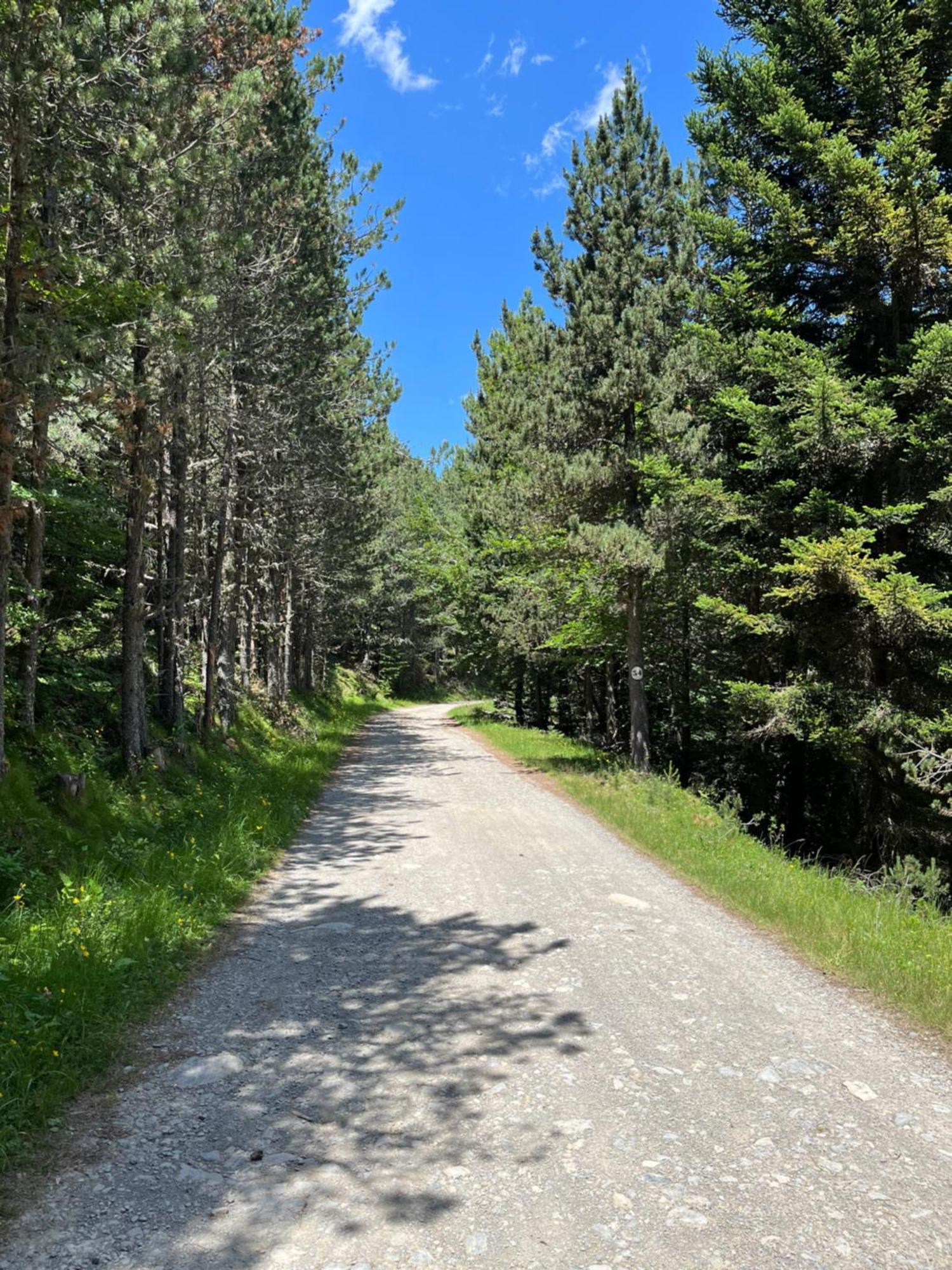 Résidence Les Esplaneilles Formiguères Exterior foto